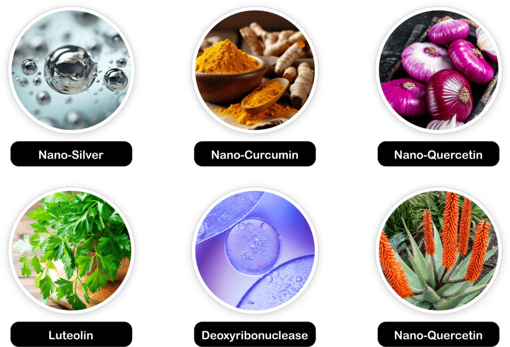 NanoDefense Pro ingredients: Nano-Silver, Nano-Curcumin, Nano-Quercetin, Luteolin, Deoxyribonuclease and Cape Aloe